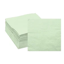 Cocktail Napkins, 100 Pack Light Green 2-Ply 10" x 10" for Wedding Bar Party