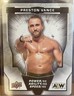 Preston Vance 2024 Upper Deck AEW Gaming Cards Wrestling Level A