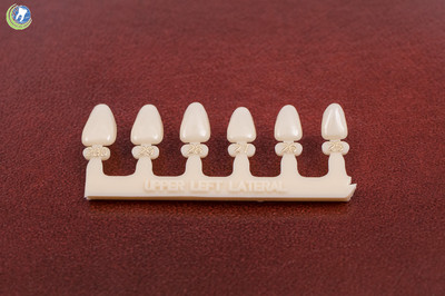 #10 Upper Left Lateral Anterior (ULL) Polycarbonate Crowns Caps Refills 6 Sizes 