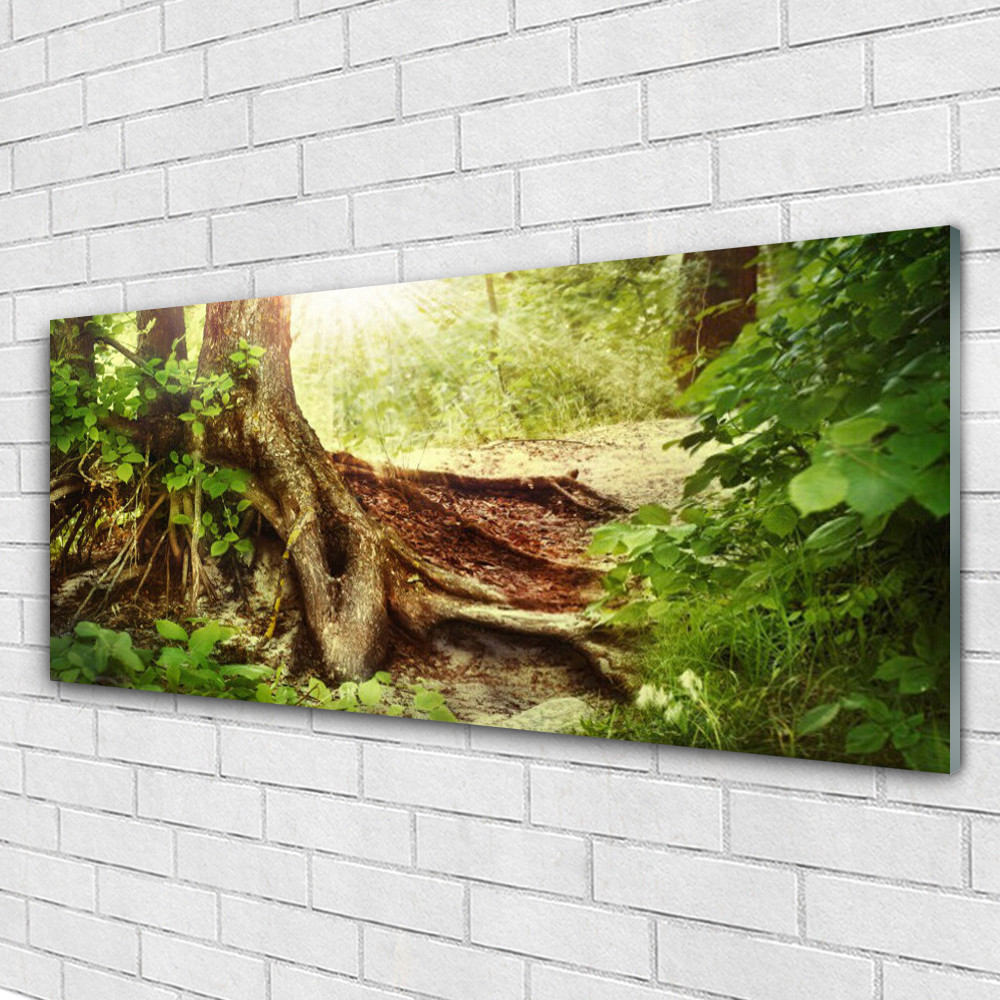 Tableau en verre acrylique 125x50 cm motif tronc d'arbre nature pour salon