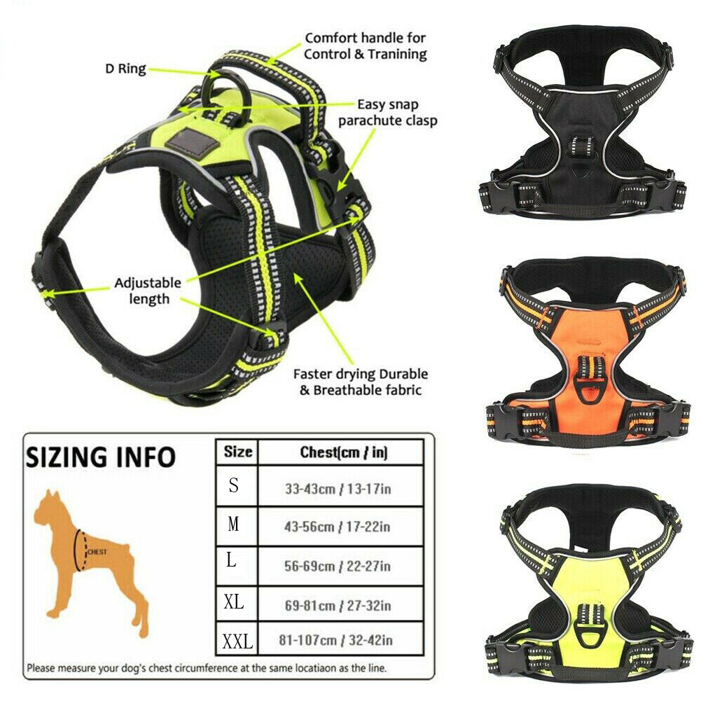 chai's choice best outdoor adventure dog harness