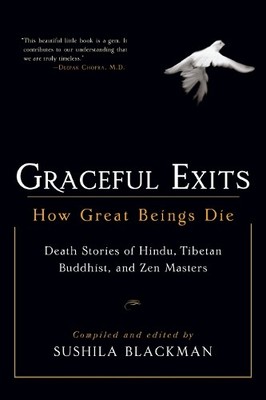 Graceful Exits - 9781590302705