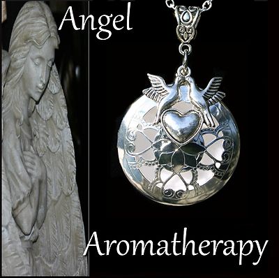Essential Oil Diffuser Dove Heart Necklace Locket Aromatherapy US Seller