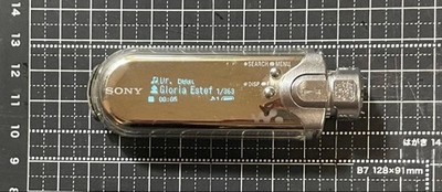 Sony Walkman NW-E507 Silver ( 1 GB ) Digital Media Player for sale