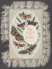 Best Wishes Happy New Year fringed greeting card moth motif ca 1890s Tuck
