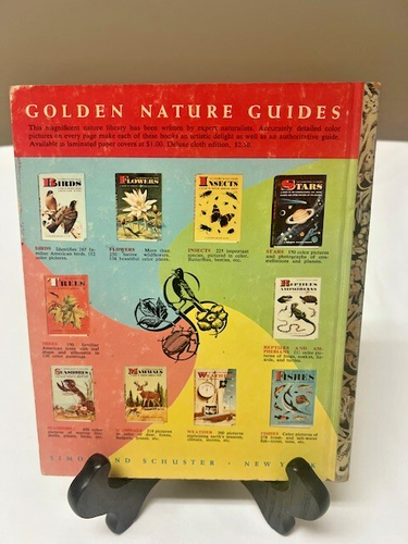 TOOTLE Little Golden Book 1946 Vintage 25 Cent "Q" Edition Crampton Gergely - Picture 2 of 4