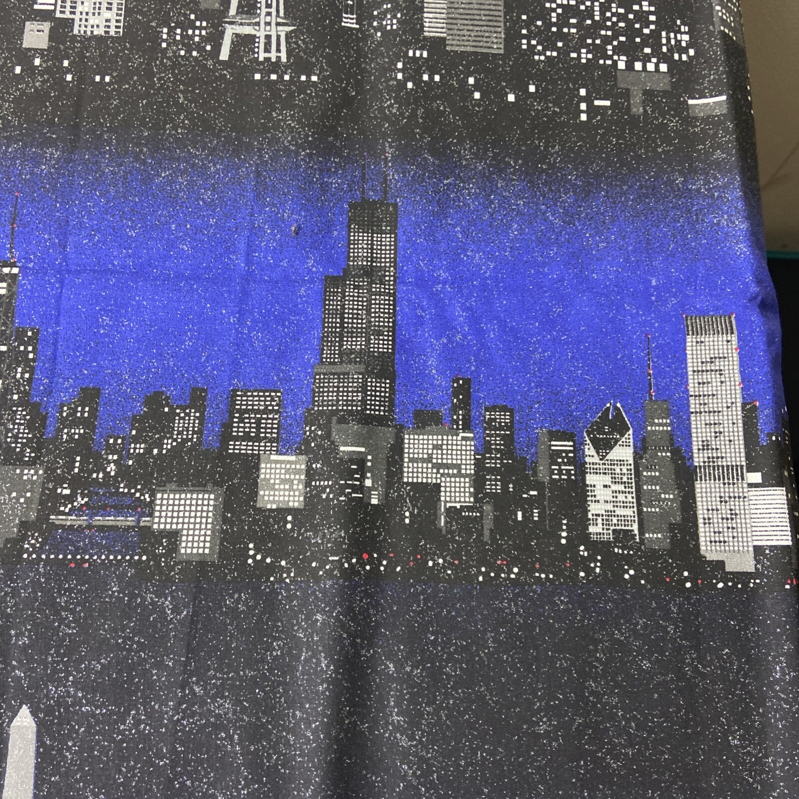 Picture 4 of 19