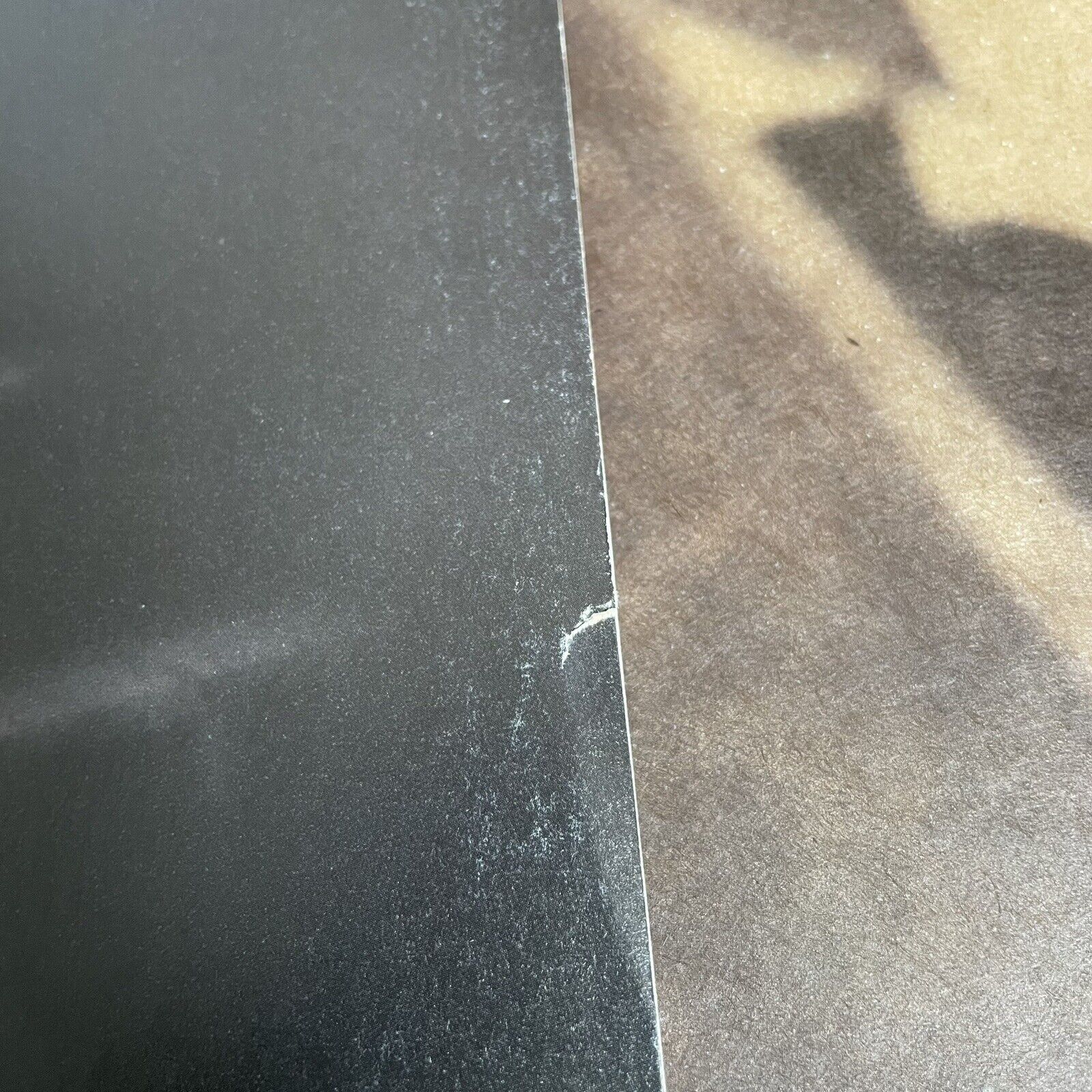 Picture 6 of 6