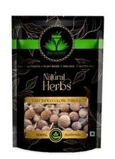 SAI HERBS Gorakhmundi - Sphaeranthus Indicus - East Indian Globe Thistle