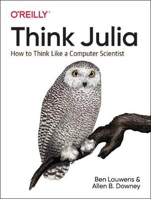 Ben Lauwens Allen B Downey Think Julia (Paperback)