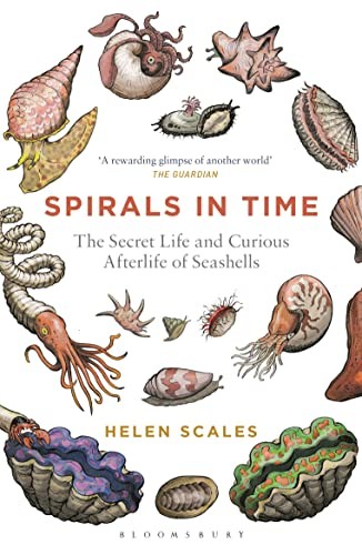 Spirals in Time: The Secret Life and Curious by Helen Scales (PB 2016) - Image 7