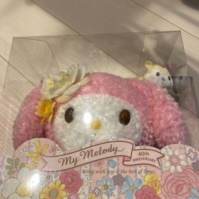 Sanrio My Melody Plush Doll 40th anniversary Last Special Japan