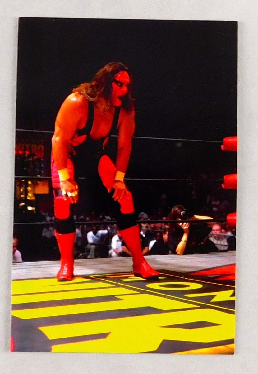 Sting WCW 4x6 Wrestling Photo Card 1998 Panini Wrestler WWE HOF