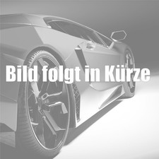 Stoßstangengitter Links Vorne für Ford Ecosport 1.0 EcoBoost 1.5 TDCi ab 10.13