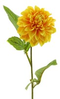 Artplants KüNstliche Blume Dahlie Wanru, Gelb-Orange, 50 Cm