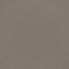 Nissan Beige Leather Dye