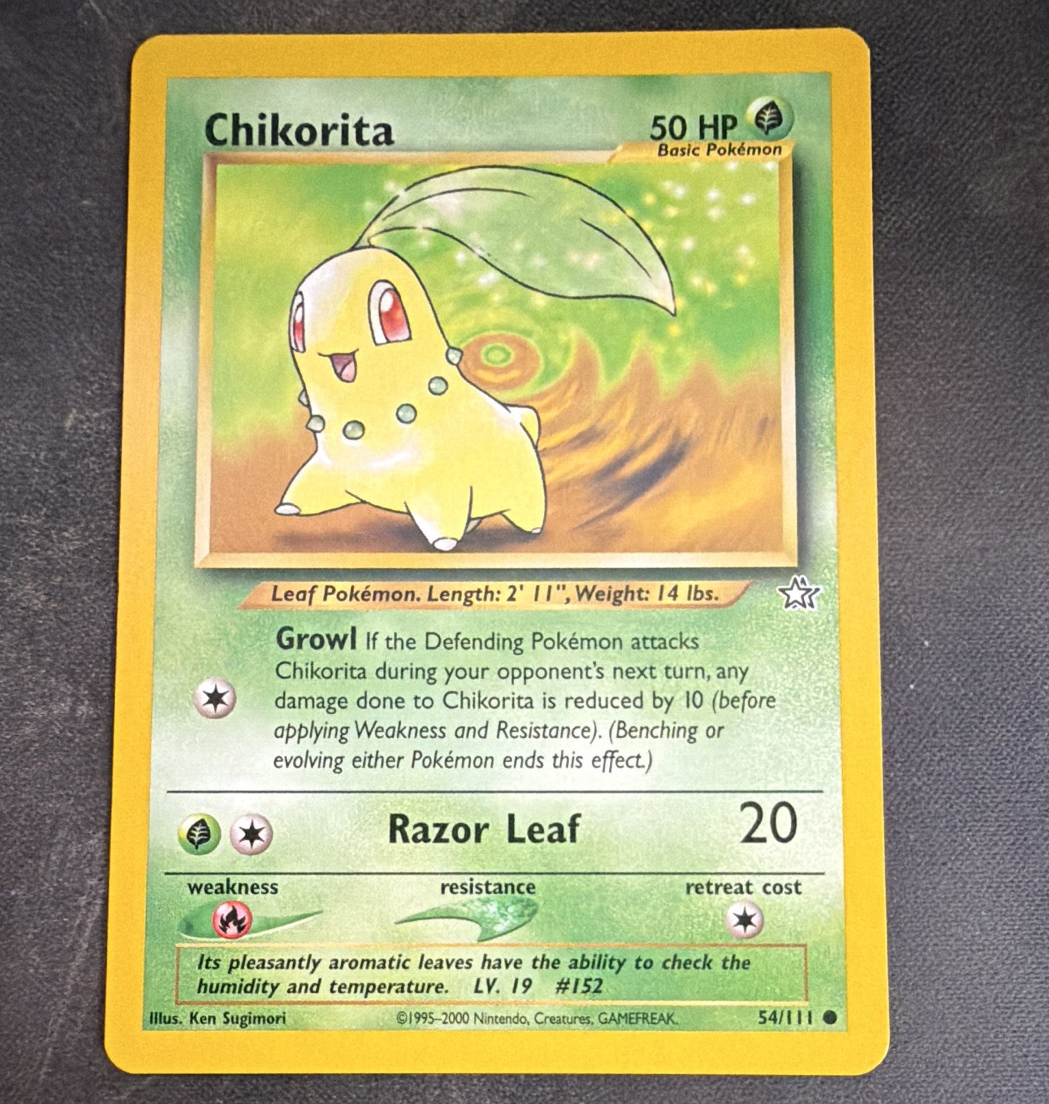 The Pokémon Company Pokémon TCG Chikorita 54/111 Neo Genesis Eng Common HP50