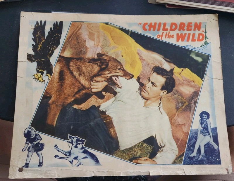 1939 Children Of The Wild Movie Lobby Card Poster