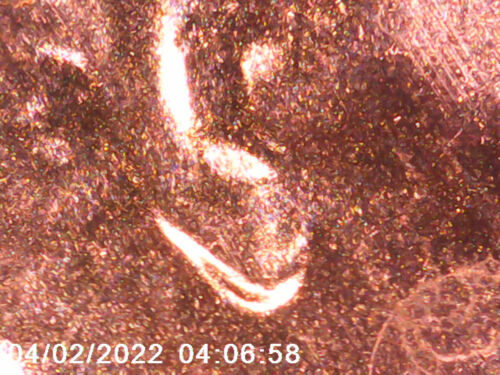 2021 D/D Lincoln Cent - DDO & DDR - Doubled Ear - ALLE BILDER - KOSTENLOSER VERSAND! *44 - Bild 2 von 4