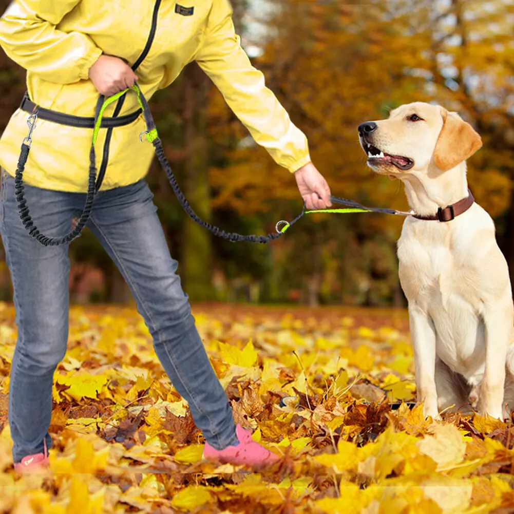 Hands free retractable best sale leash