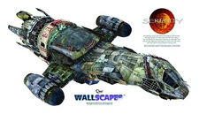 Serenity 48" Wallscape Decal (by Quantum Mexhanix)
