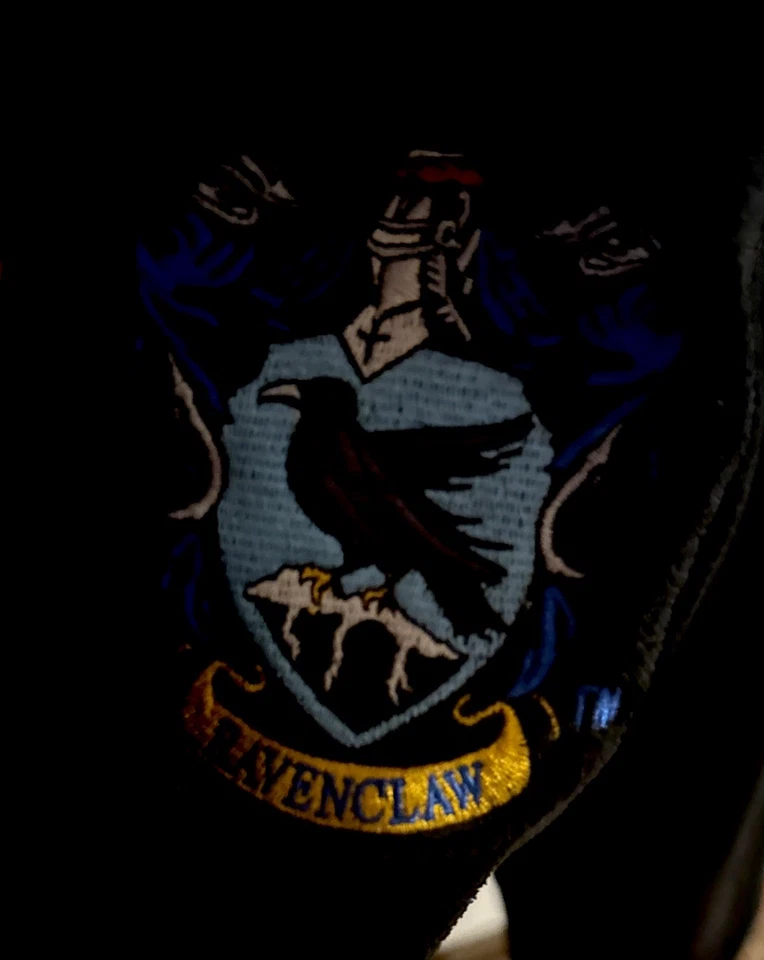 "Juego de bata de baño y zapatos de casa con capucha Harry Potter Ravenclaw pequeños 52"" L ropa de salón" Foto 2 de 4