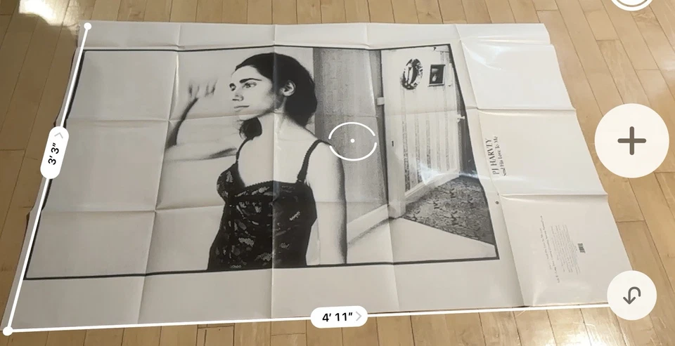 PJ HARVEY Send His Love To Me 7" VINYL PICTURE DISC & MAXI POSTER IS610 - Image 3 of 4