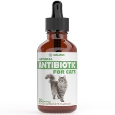 Cat Antibiotic for Infections, UTIs, Respiratory Moments, Cold,  Allergies ...