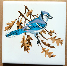 Ceramic Tile Blue Jay on Branch domestic bird bluejay on branch
