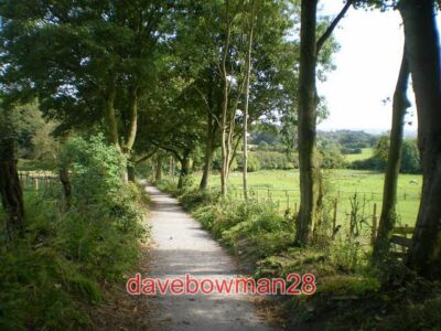 PHOTO  THE COPPICE BRIDLEWAY TURLS HILL ROAD SEDGLEY A REMARKABLY RURAL SPOT ON