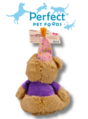 Rosewood Bonnie Birthday Bear Dog toy