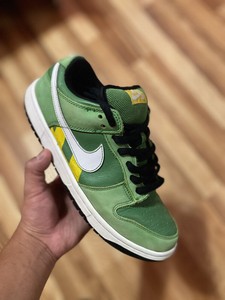 rare nike sb