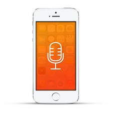 Apple iPhone 5s Reparatur Mikrofon