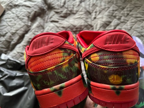 Nike The Wizard of Oz x Dunk Low SB Poppy Field FZ1291-600 in magazzino US 9,5 - Foto 9 di 14