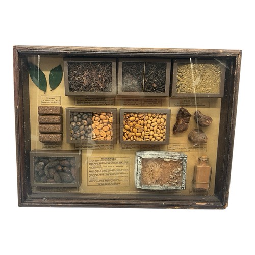 Antique Shadow Box Diorama of Beverage Samples from the Philadelphia Museum