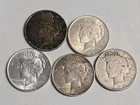 5 Peace Silver Dollars - 5 Coin Lot - SKU55
