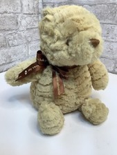 Disney Baby Winnie the Pooh Plush Brown Bow Stuffed Animal Bear Lovey Sewn Eyes