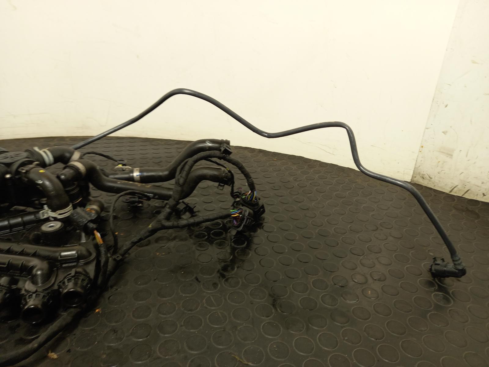 Picture 2 of 12