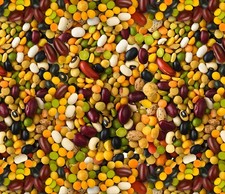 Food Fabric Fruits Veggies Packed Beans David Textiles YARD