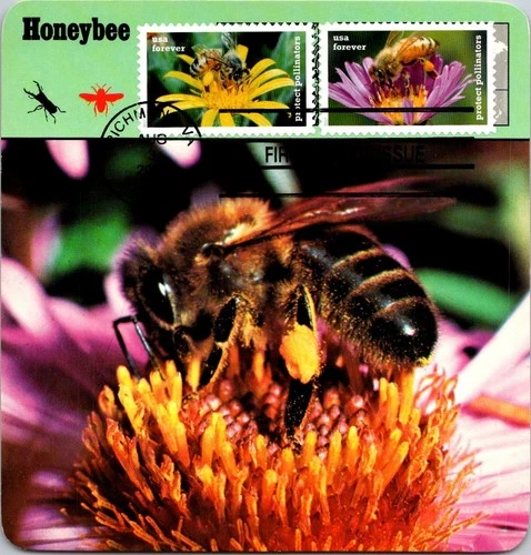 Dr Jim Stamps Maximum Card Pollinators Bees Forever Pair Fdc