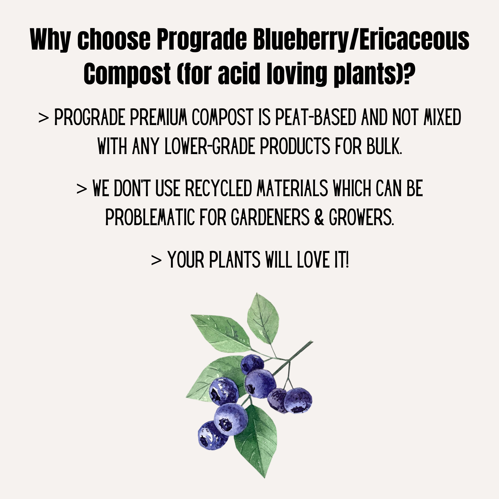 Blueberry Potting/Growing Compost Ericaceous PeatBased for Pro