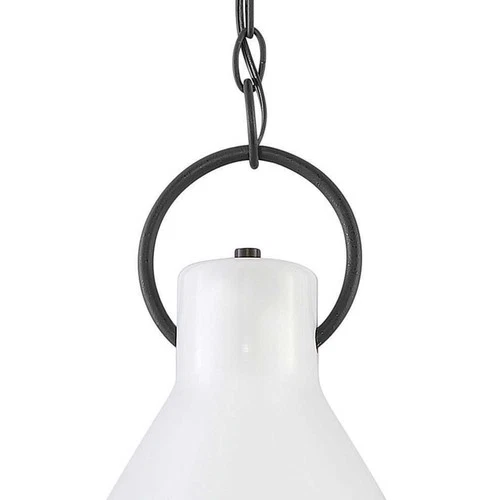 Hinkley Lighting 3557 Winnie 1 Light 12"W Pendant - Aged Zinc / Distressed Black - Picture 7 of 12