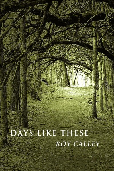 Roy Calley | Days Like These | Taschenbuch | Englisch (2007) | AuthorHouse UK-image