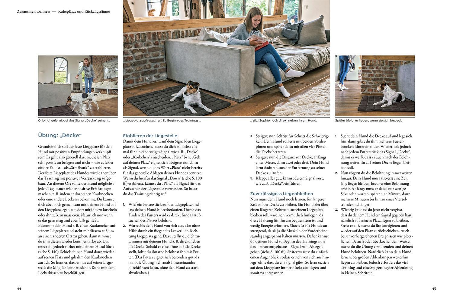 Thumbnail - Hundetraining Mit Martin Rütter Martin Rütter