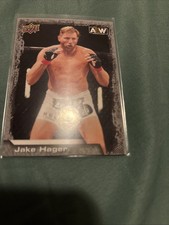 upper deck jake hager aew Silver Boarder