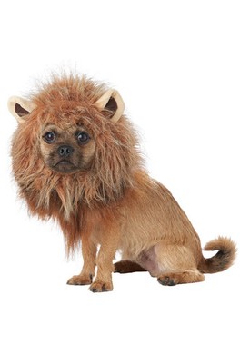 King of the Jungle Lion Simba Inspired Pet Dog Costume