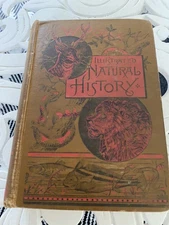 Antique Book: Illustrated Natural History J. G. Wood - 1886 Routledge
