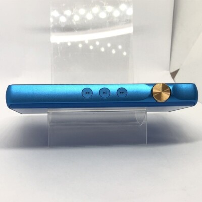 iBasso DX160 Portable Digital Audio Player (Blue) | eBay