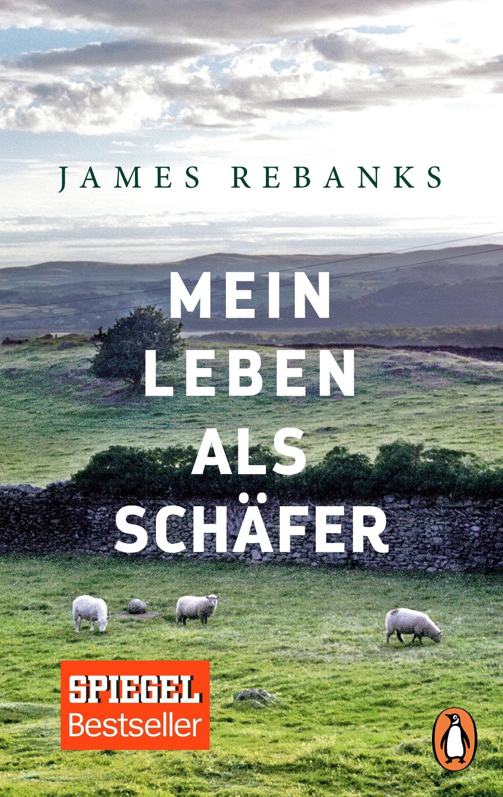 Thumbnail - Mein Leben Als Schäfer James Rebanks