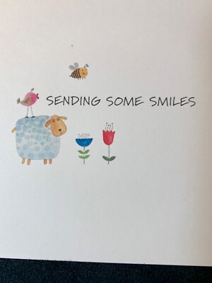 Sending Some Smiles Encouragement Friendship Card Lovely!